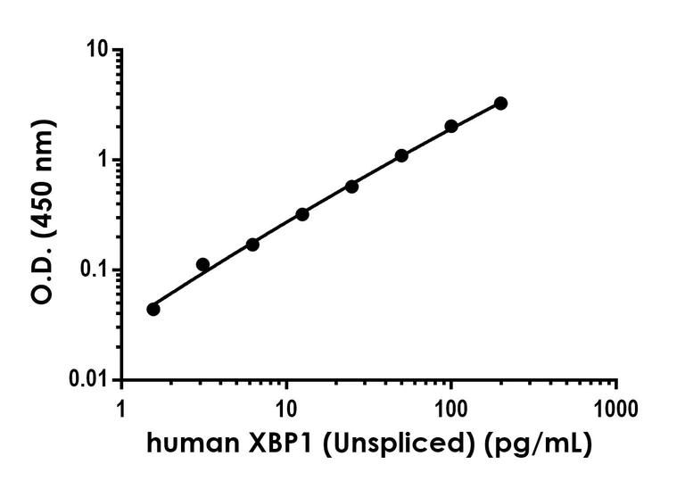 Sandwich ELISA - Anti-XBP1 (Unspliced) antibody [EPR24493-118] - BSA and Azide free (Capture) (AB300765)