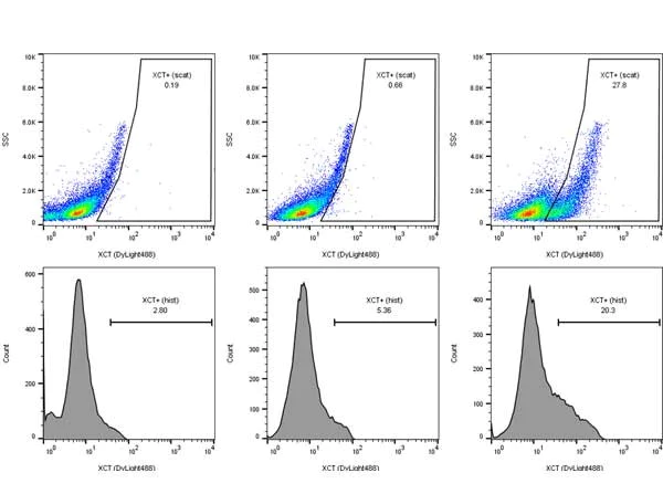 Flow Cytometry - Anti-xCT antibody (AB216876)