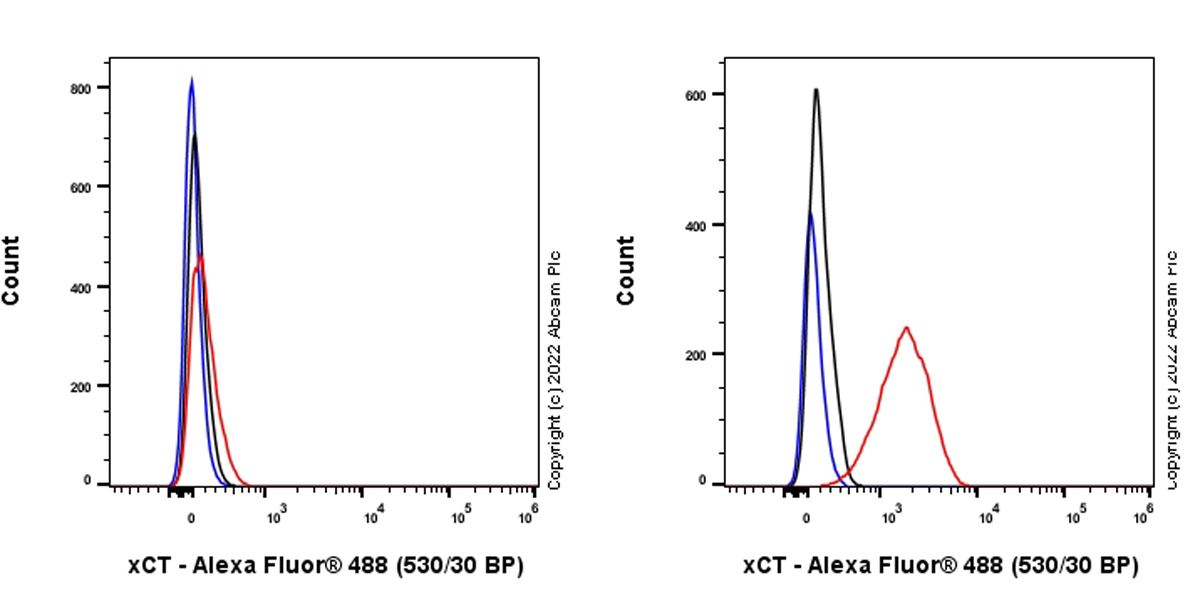 Flow Cytometry (Intracellular) - Anti-xCT antibody [EPR27115-64] (ab307601), expandable thumbnail