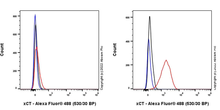 Flow Cytometry (Intracellular) - Anti-xCT antibody [EPR27115-64] - BSA and Azide free (AB307602)