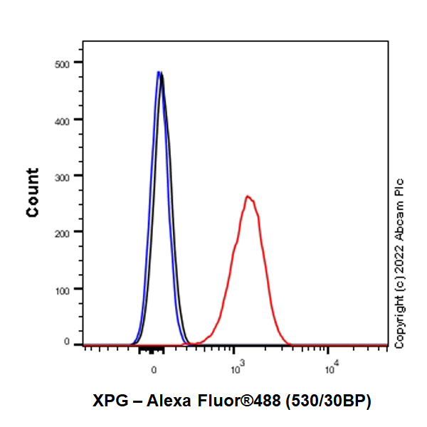 Flow Cytometry (Intracellular) - Anti-XPG antibody [EPR25351-5] (AB302615), expandable thumbnail