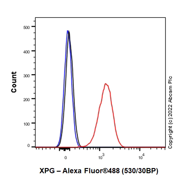 Flow Cytometry (Intracellular) - Anti-XPG antibody [EPR25351-5] (AB302615)