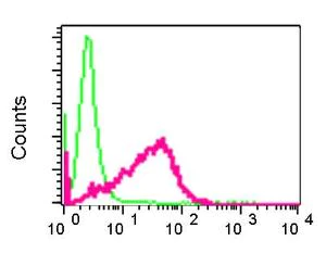 Flow Cytometry (Intracellular) - Anti-XRCC2 antibody [EPR5149] - BSA and Azide free (AB248049)