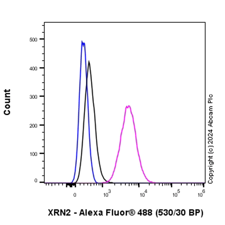 Flow Cytometry (Intracellular) - Anti-XRN2 antibody [EPR28598-13] - BSA and Azide free (AB318133)