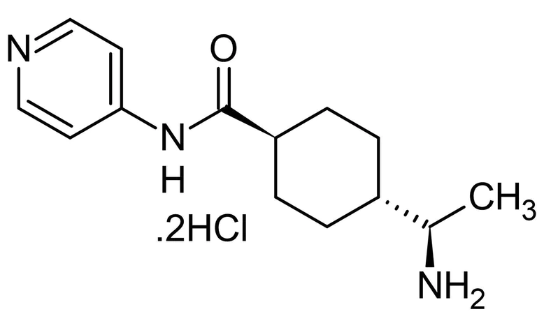 Chemical Structure - Y-27632 dihydrochloride, Rho kinase inhibitor (AB120129)