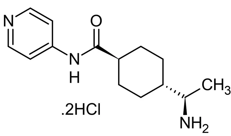 Chemical Structure - Y-27632, Sterile-Filtered (AB291110)