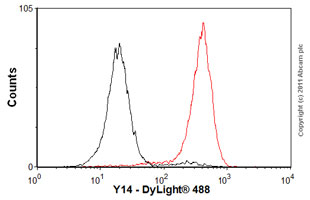 Anti-Y14 antibody [4C4]