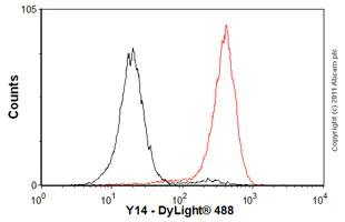 Flow Cytometry - Anti-Y14 antibody [4C4] (AB5828)