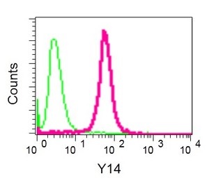 Flow Cytometry (Intracellular) - Anti-Y14 antibody [EPR13945(B)] (AB181038)
