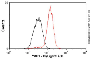 Flow Cytometry (Intracellular) - Anti-YAP1 antibody [EP1674Y] - BSA and Azide free (AB172373)