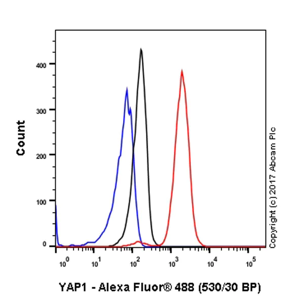 Flow Cytometry (Intracellular) - Anti-YAP1 antibody [EP1674Y] - BSA and Azide free (AB172373)