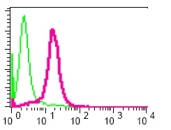 Flow Cytometry (Intracellular) - Anti-YB1 antibody [EP2706Y] (AB76540)