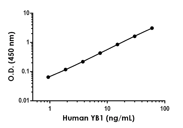 Sandwich ELISA - Anti-YB1 antibody [EP2708-46] - BSA and Azide free (Detector) (AB270329)