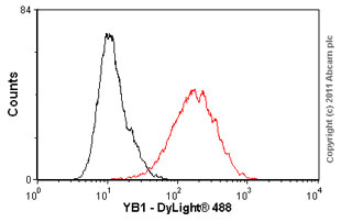 Flow Cytometry (Intracellular) - Anti-YB1 antibody [EP2708Y] - BSA and Azide free (AB239875)