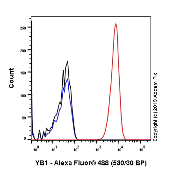 Flow Cytometry (Intracellular) - Anti-YB1 antibody [EPR22682-21] - BSA and Azide free (AB256516)