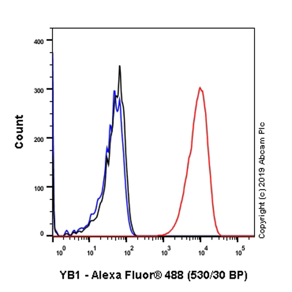 Flow Cytometry (Intracellular) - Anti-YB1 antibody [EPR22682-21] - BSA and Azide free (AB256516)