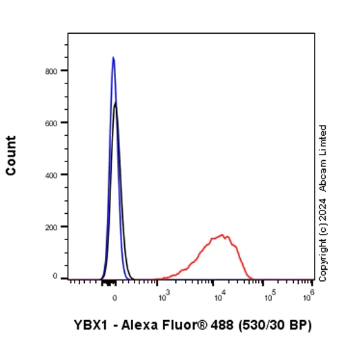 Flow Cytometry (Intracellular) - Anti-YB1 antibody [RM1188] (AB320005)