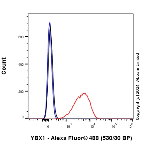 Flow Cytometry (Intracellular) - Anti-YB1 antibody [RM1188] (AB320005)