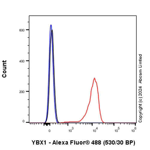 Flow Cytometry (Intracellular) - Anti-YB1 antibody [RM1188] (AB320005)