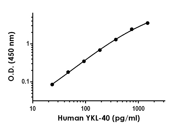 Sandwich ELISA - Anti-YKL-40/CHI3L1 antibody [EPR22243-81] - BSA and Azide free (Capture) (AB259755), expandable thumbnail