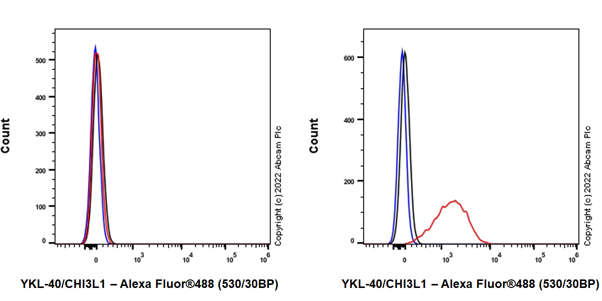 Flow Cytometry (Intracellular) - Anti-YKL-40/CHI3L1 antibody [EPR27396-56] (AB305035), expandable thumbnail