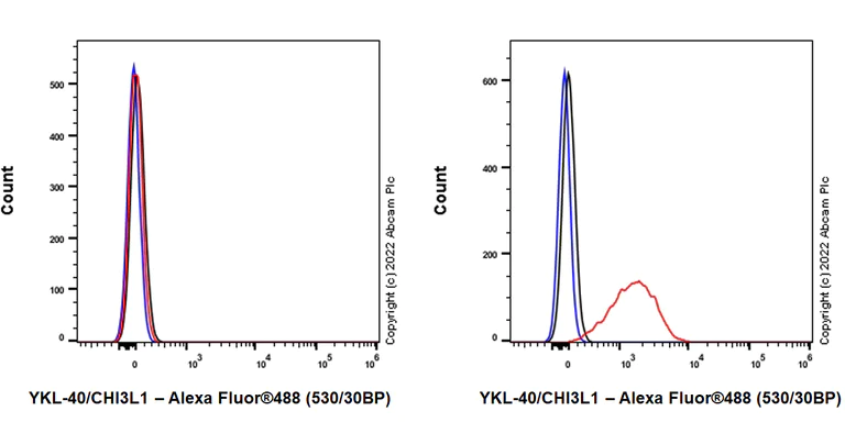 Flow Cytometry (Intracellular) - Anti-YKL-40/CHI3L1 antibody [EPR27396-56] (AB305035)