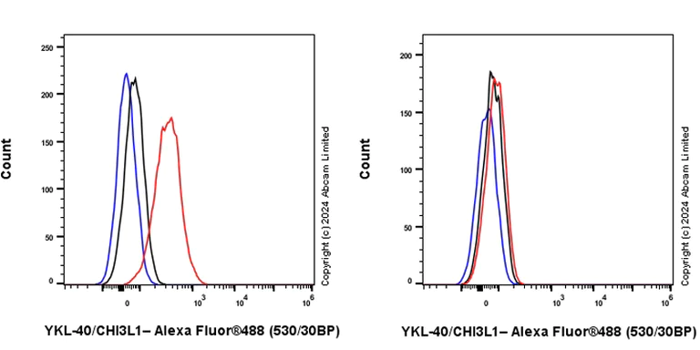 Flow Cytometry (Intracellular) - Anti-YKL-40/CHI3L1 antibody [RM1204] - BSA and Azide free (AB319165)
