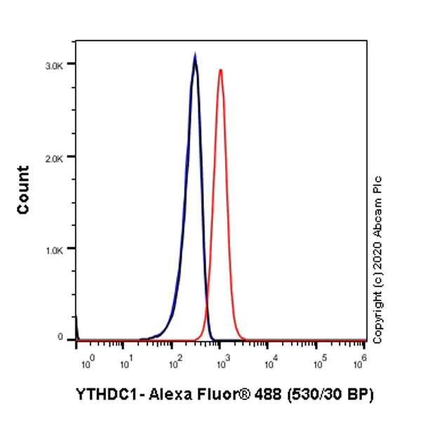 Flow Cytometry (Intracellular) - Anti-YTHDC1 antibody [EPR21821-213] - BSA and Azide free (AB282289)