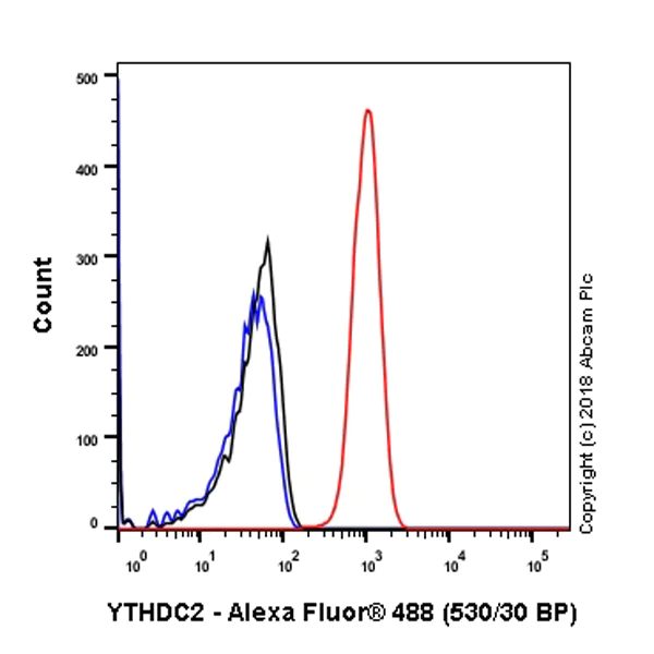 Flow Cytometry (Intracellular) - Anti-YTHDC2 antibody [EPR21820-49] - BSA and Azide free (AB259277)