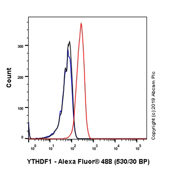Flow Cytometry (Intracellular) - Anti-YTHDF1 antibody [EPR22349-16] - BSA and Azide free (AB252547)