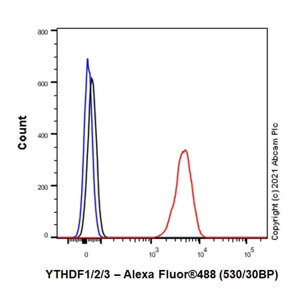 Flow Cytometry (Intracellular) - Anti-YTHDF1 + YTHDF3 + YTHDF2 antibody [EPR26183-69] (AB290734)