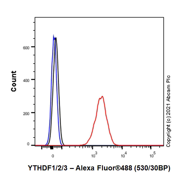 Flow Cytometry (Intracellular) - Anti-YTHDF1 + YTHDF3 + YTHDF2 antibody [EPR26183-69] - BSA and Azide free (AB290749)