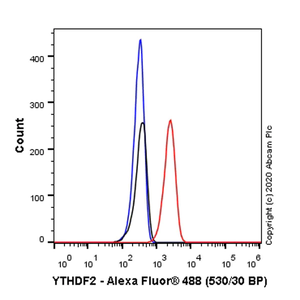 Flow Cytometry (Intracellular) - Anti-YTHDF2 antibody [EPR23544-19] - BSA and Azide free (AB275037)