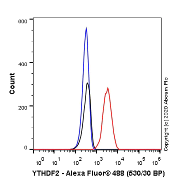 Flow Cytometry (Intracellular) - Anti-YTHDF2 antibody [EPR23544-19] - BSA and Azide free (AB275037)