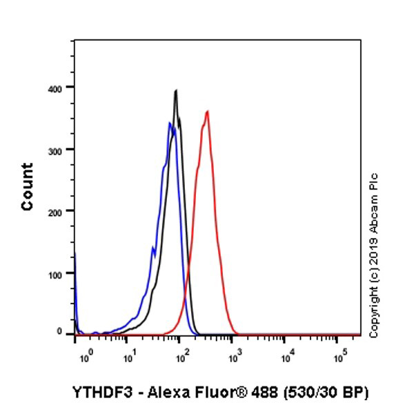 Flow Cytometry (Intracellular) - Anti-YTHDF3 antibody [EPR21912-3] (AB220161), expandable thumbnail