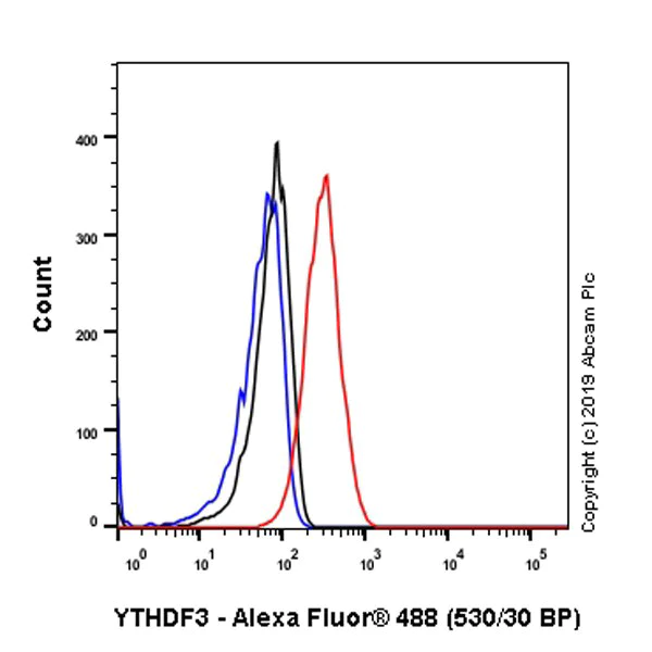 Flow Cytometry (Intracellular) - Anti-YTHDF3 antibody [EPR21912-3] - BSA and Azide free (AB255267)