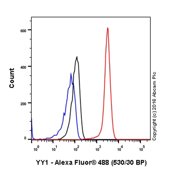 Flow Cytometry (Intracellular) - Anti-YY1 antibody [EPR4652] - BSA and Azide free (AB232573)