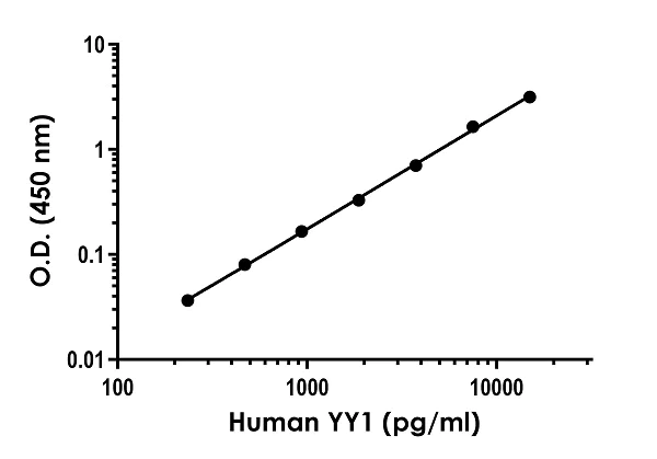 Sandwich ELISA - Anti-YY1 antibody [EPR4652] - BSA and Azide free (Detector) (AB281076)