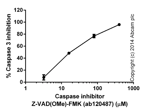 Functional Studies - Z-VAD(OMe)-FMK, Cell permeable, irreversible pan-caspase inhibitor (AB120487)