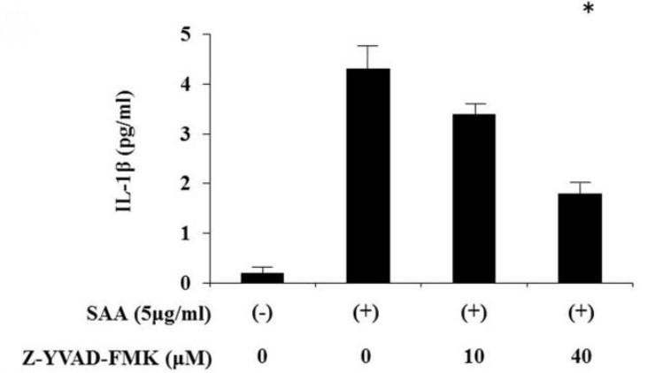 Functional Studies (Act) - Z-YVAD-FMK, Irreversible caspase-1 inhibitor (AB141388)