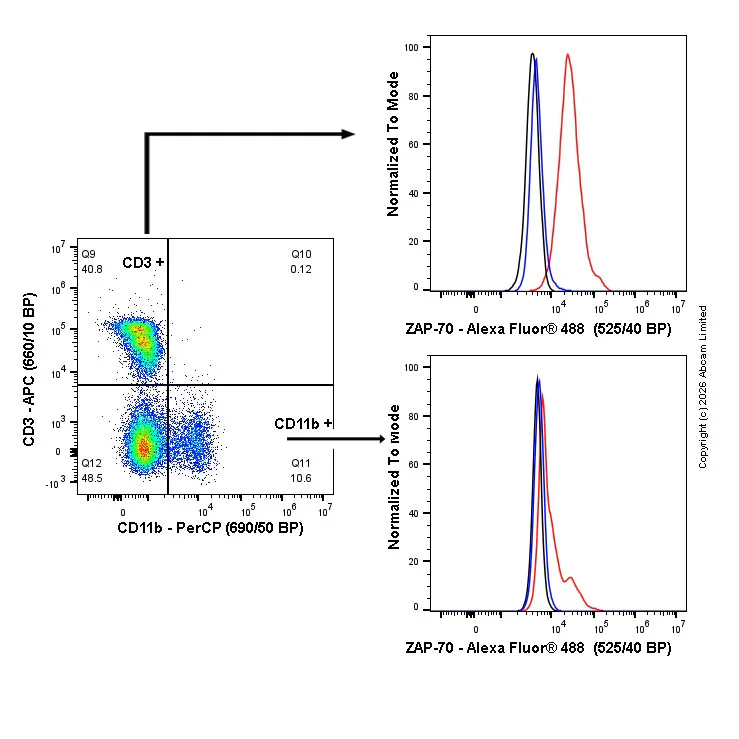 Flow Cytometry - Anti-ZAP70 antibody [EPR29942-36] (AB325911)