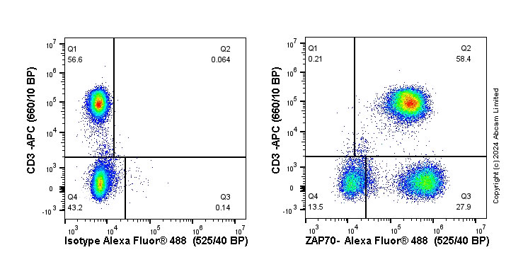 Flow Cytometry (Intracellular) - Anti-ZAP70 antibody [YE291] - BSA and Azide free (ab247258), expandable thumbnail