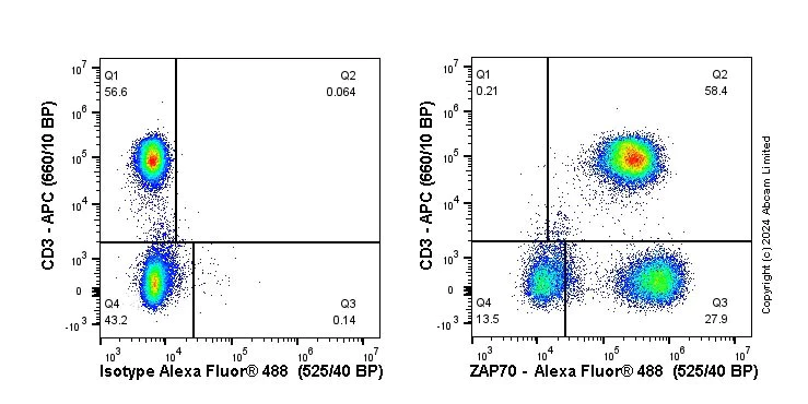 Flow Cytometry (Intracellular) - Anti-ZAP70 antibody [YE291] - BSA and Azide free (AB247258)
