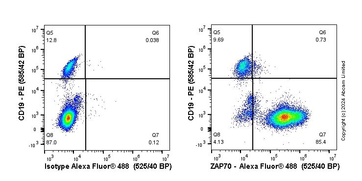 Flow Cytometry (Intracellular) - Anti-ZAP70 antibody [YE291] - BSA and Azide free (ab247258), expandable thumbnail