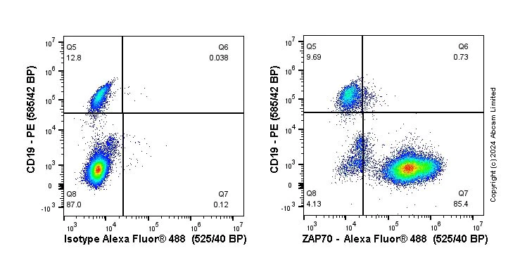 Flow Cytometry (Intracellular) - Anti-ZAP70 antibody [YE291] - BSA and Azide free (AB247258)