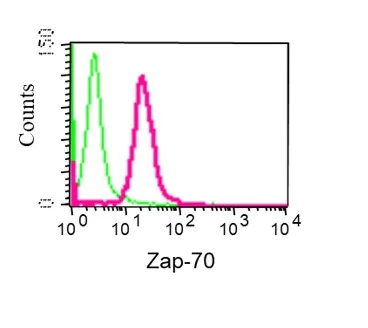 Flow Cytometry (Intracellular) - Anti-ZAP70 antibody [YE291] - BSA and Azide free (AB247258)