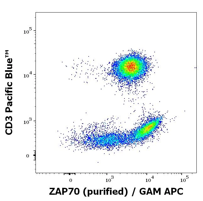 Flow Cytometry (Intracellular) - Anti-ZAP70 antibody [ZAP-03] (AB38871)