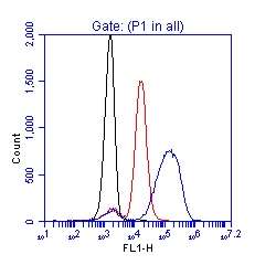 Flow Cytometry (Intracellular) - Anti-ZAP70 (phospho Y319) antibody (AB264260)