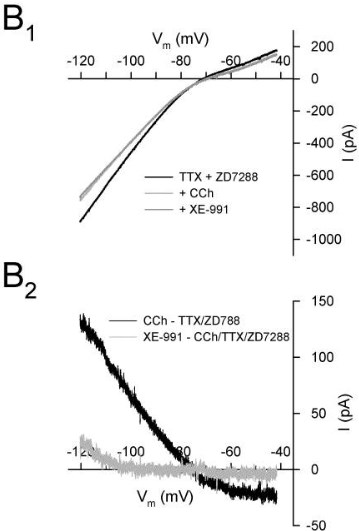 Cellular Activation - ZD7288, Sino-atrial node function modulator (AB120102), expandable thumbnail