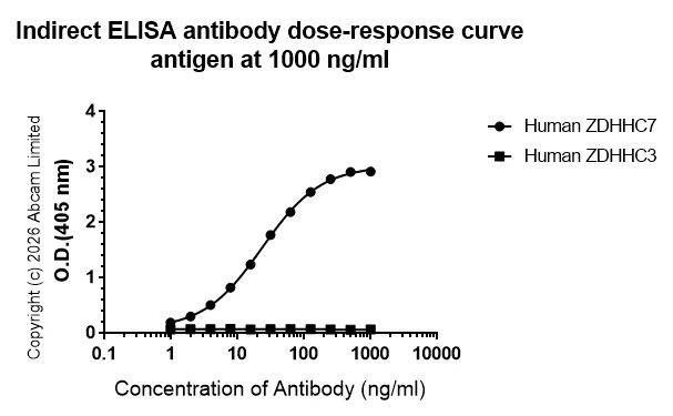 Indirect ELISA - Anti-ZDHHC7 antibody [EPR30883-532] (AB327351)
